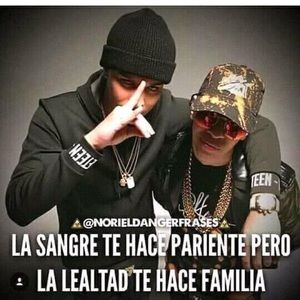 Meet your Posher, Hugo